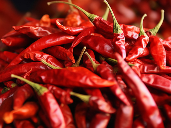 如何選擇辣椒加工廠家的規模和實力？
